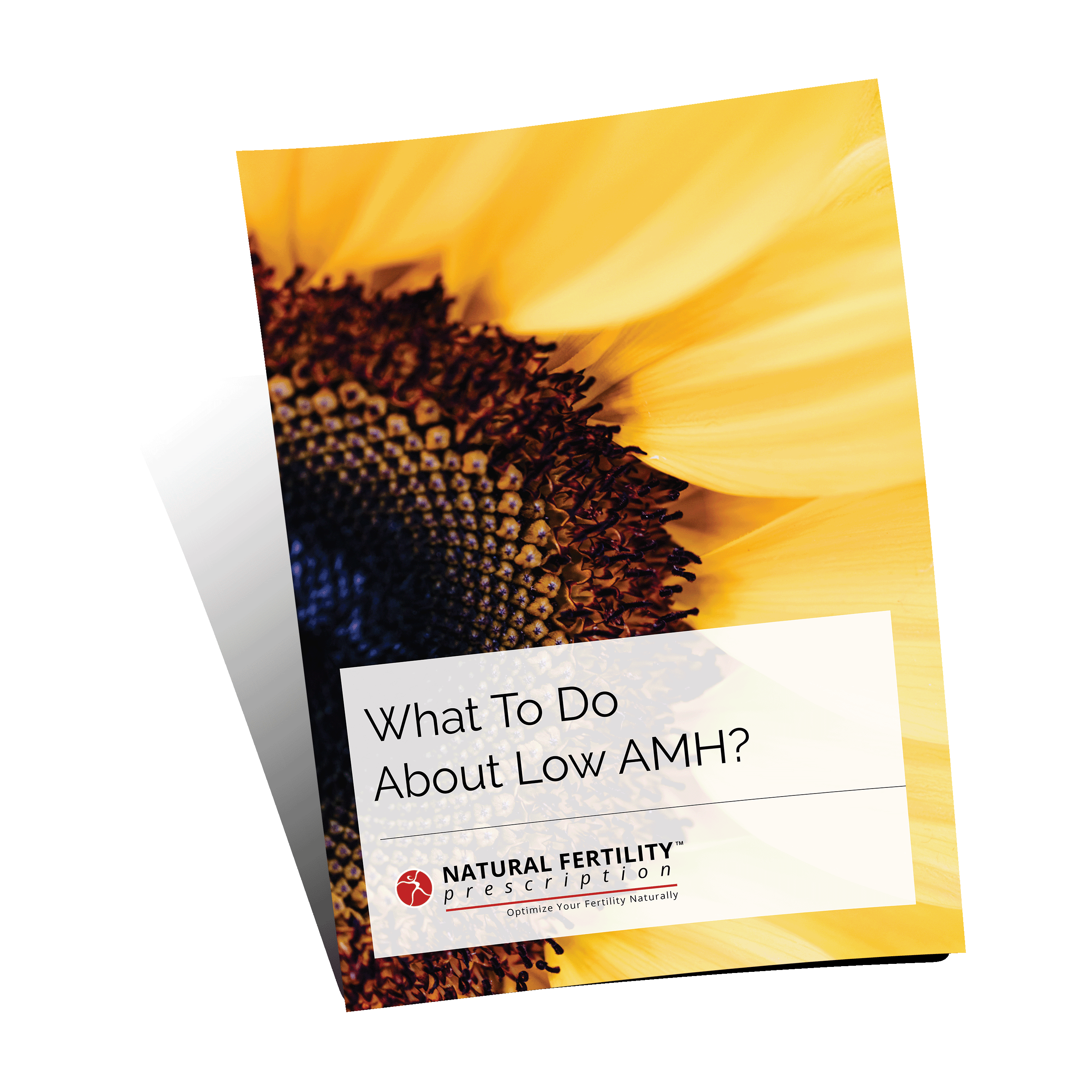 Low AMH & Fertility - Your Comprehensive Guide 